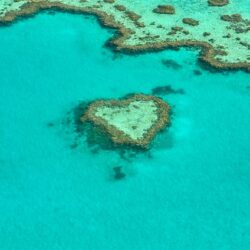 Tauche ein in das Wunderland des Great Barrier Reefs: Alles, was Du wissen musst!